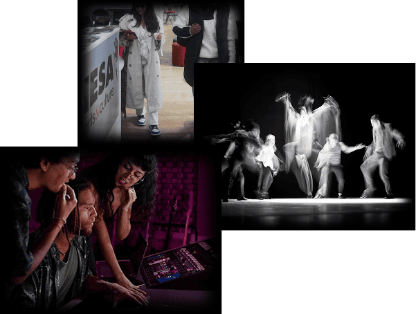 Débouchés spectacle vivant et Service de professionnalisation de IESA art&culture Débouchés spectacle vivant et Service de professionnalisation de IESA art&culture