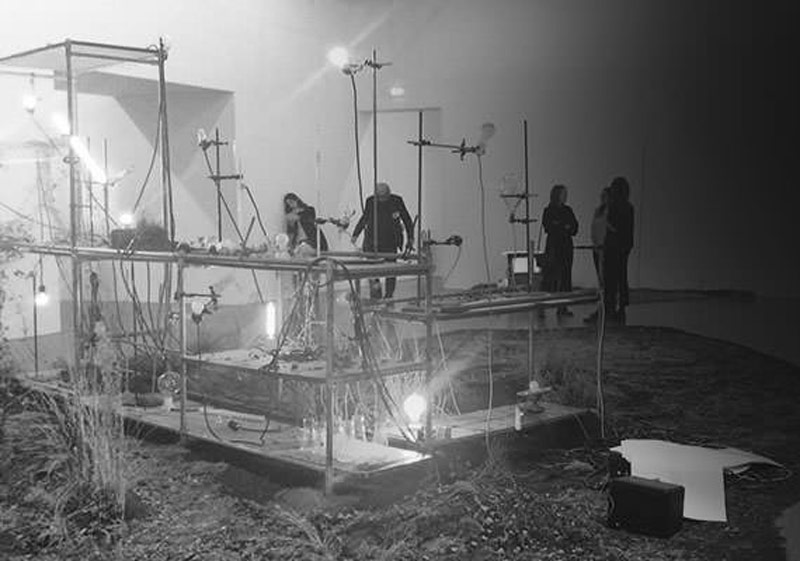 médiation socioculturelle