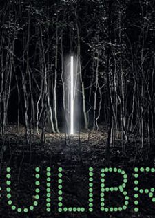 Exposition Équilibres Mastère art contemporain